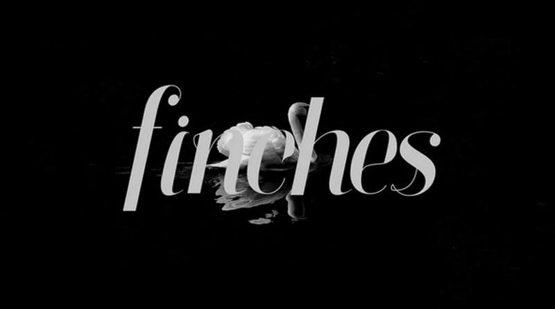Finches Font